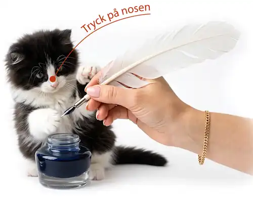 En hand som skriver med en fjäderpenna och en svart vit fluffig katt distraherar